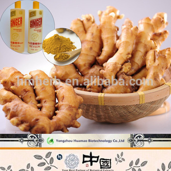  Pure Gingerols Powder Organic Ginger Extract 